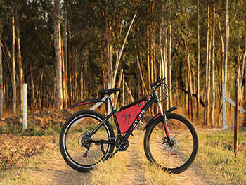 electric hybrid bicycles