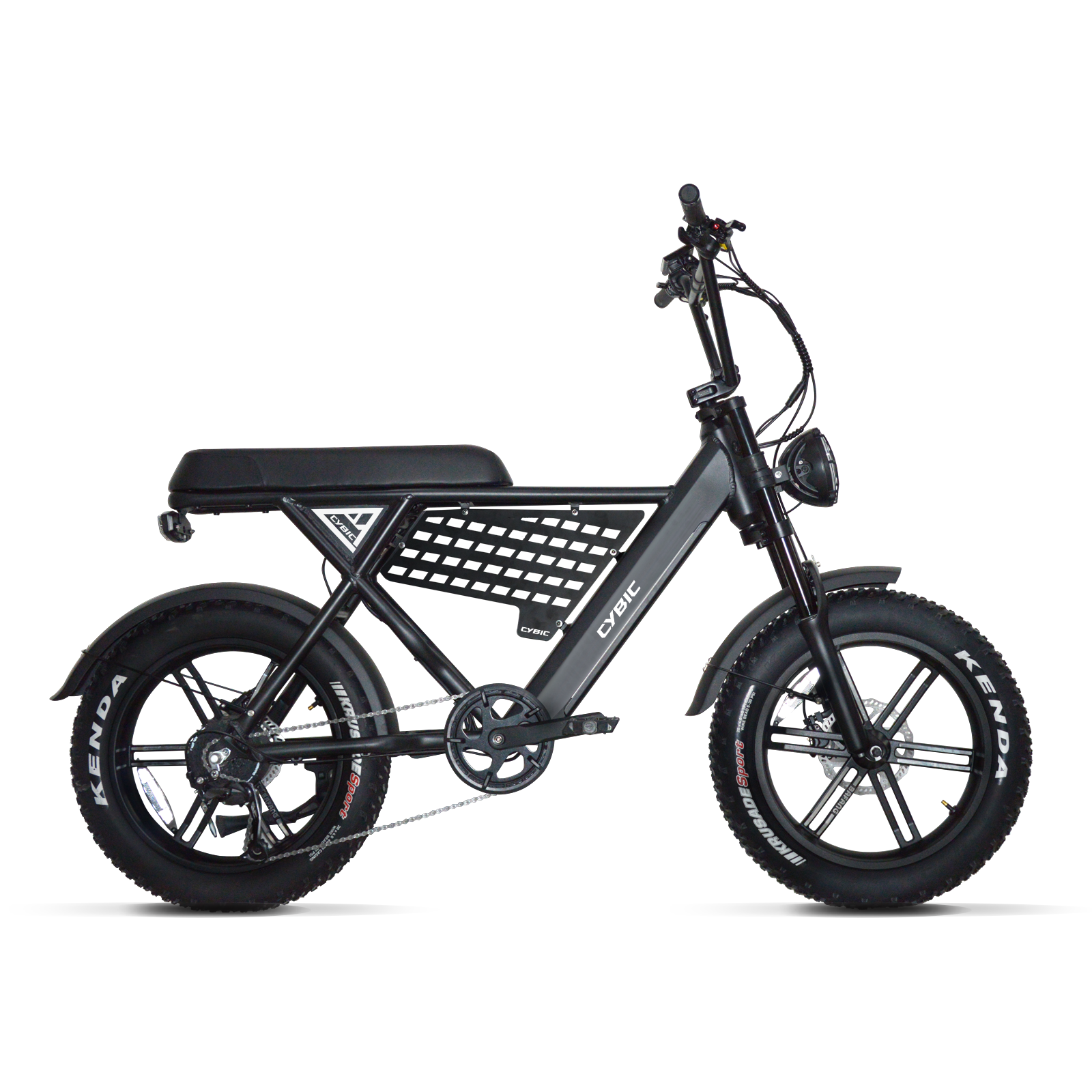 E bici grassa
