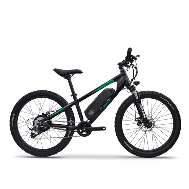 EUROBIKE 24'' MINI Emtb Id&eacute;al pour les d&eacute;placements domicile-travail et l'aventure